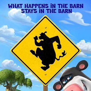 Fotoğraf Steve Oedekerk