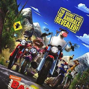 Fotoğraf Steve Oedekerk