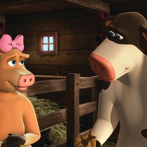 Fotoğraf Steve Oedekerk