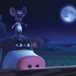 Fotoğraf Steve Oedekerk