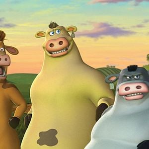 Fotoğraf Steve Oedekerk