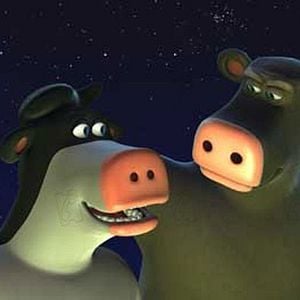 Fotoğraf Steve Oedekerk