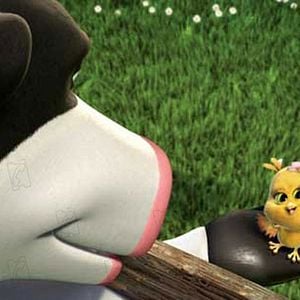 Fotoğraf Steve Oedekerk