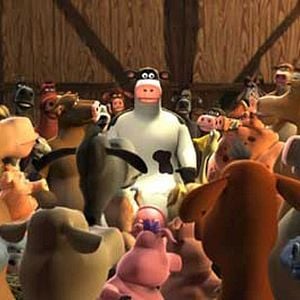 Fotoğraf Steve Oedekerk