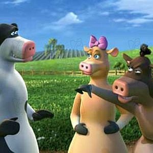 Fotoğraf Steve Oedekerk