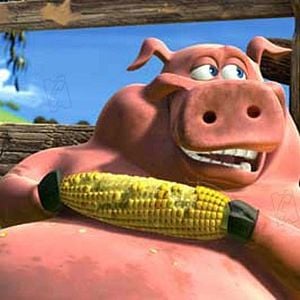 Fotoğraf Steve Oedekerk