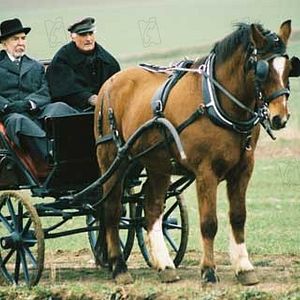 Fotoğraf Jean-Pierre Marielle