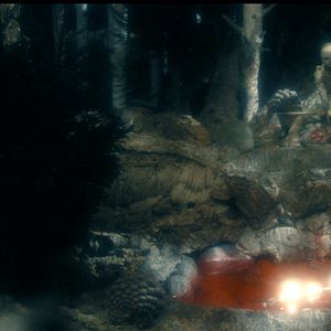 Fotoğraf Timothy Quay