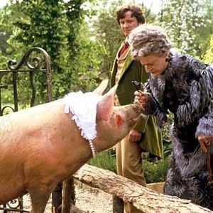 Fotoğraf Colin Firth