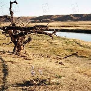 Fotoğraf Gel Git Ülkesi