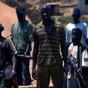 Fotoğraf Shooting Dogs