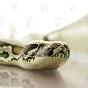 Fotoğraf Ölümcül Kargo