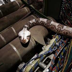 Fotoğraf Ölümcül Kargo