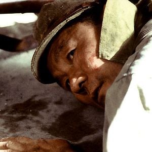 Fotoğraf Takeshi Kitano