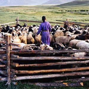 Fotoğraf Byambasuren Davaa