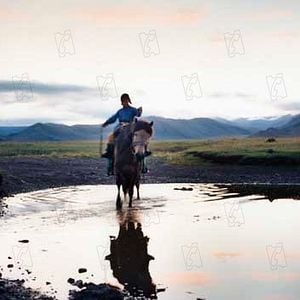 Fotoğraf Sarı Köpeğin Yuvası