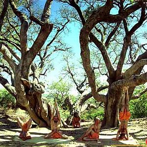 Fotoğraf Keith Melton