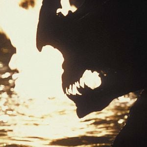 Fotoğraf Bruce Hunt