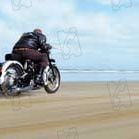 Fotoğraf Roger Donaldson