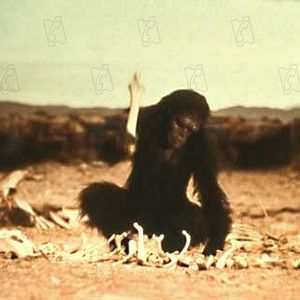 Fotoğraf 2001: Uzay Macerası