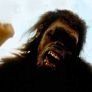 Fotoğraf 2001: Uzay Macerası