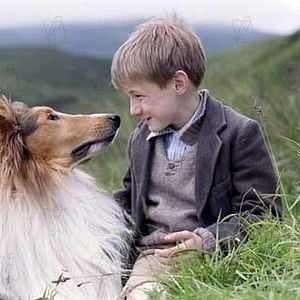 Fotoğraf Lassie