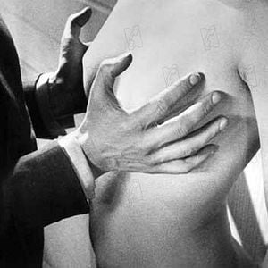 Fotoğraf Endülüs Köpeği