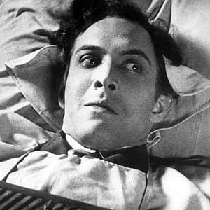 Fotoğraf Endülüs Köpeği