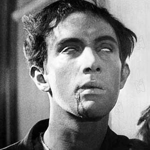 Fotoğraf Endülüs Köpeği