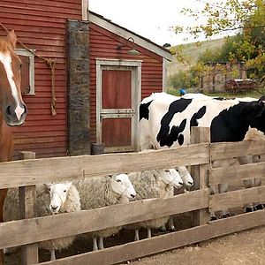 Fotoğraf Gary Winick