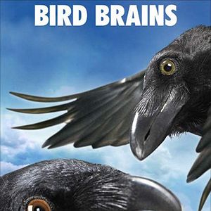 Fotoğraf Gary Winick