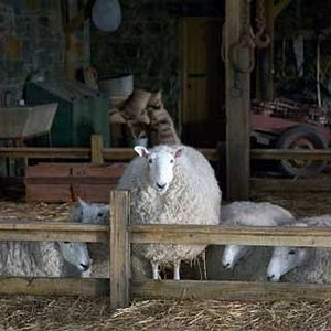 Fotoğraf Gary Winick