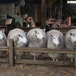 Fotoğraf Gary Winick