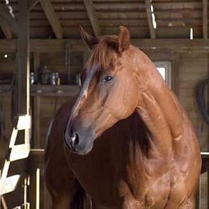 Fotoğraf Dakota Fanning