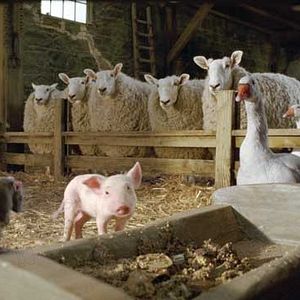 Fotoğraf Gary Winick