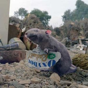 Fotoğraf Gary Winick