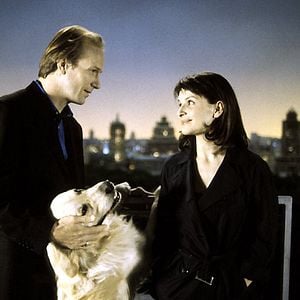 Fotoğraf New York’ta Bir Çılgın