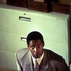 Fotoğraf Pelikan Dosyası