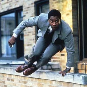 Fotoğraf Pelikan Dosyası