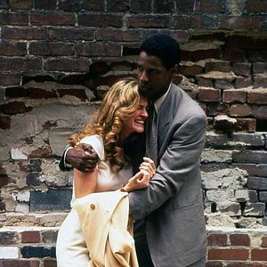 Fotoğraf Pelikan Dosyası