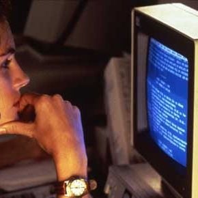 Fotoğraf Pelikan Dosyası