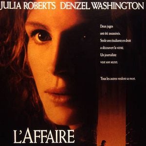 Fotoğraf Pelikan Dosyası