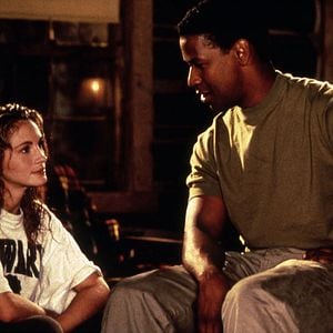 Fotoğraf Pelikan Dosyası