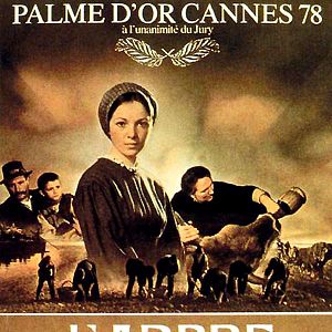 Fotoğraf L'Albero degli zoccoli