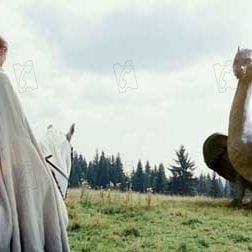 Fotoğraf Ed Speleers