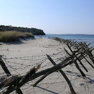 Fotoğraf Tolga Örnek