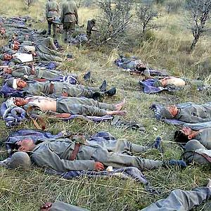 Fotoğraf Tolga Örnek