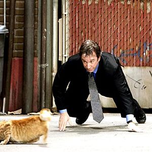 Fotoğraf Bak Şu Köpeğe