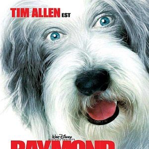 Fotoğraf Bak Şu Köpeğe