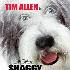 Fotoğraf Brian Robbins